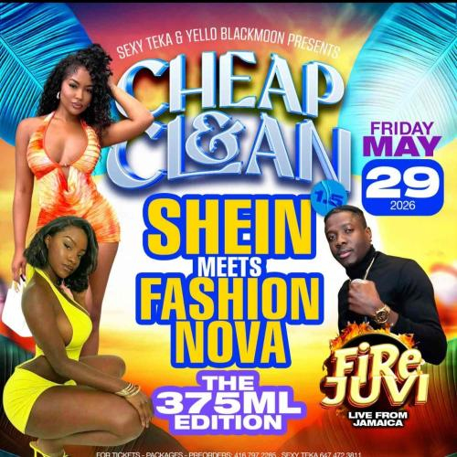CHEAP & CLEAN Fashion Nova meets Shein 1.5 