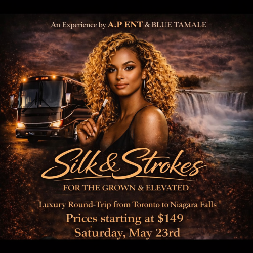 SILK & STROKES: FOR THE GROWN & SEXY (Bus Party) + (Sip & Paint) = May 23rd 
