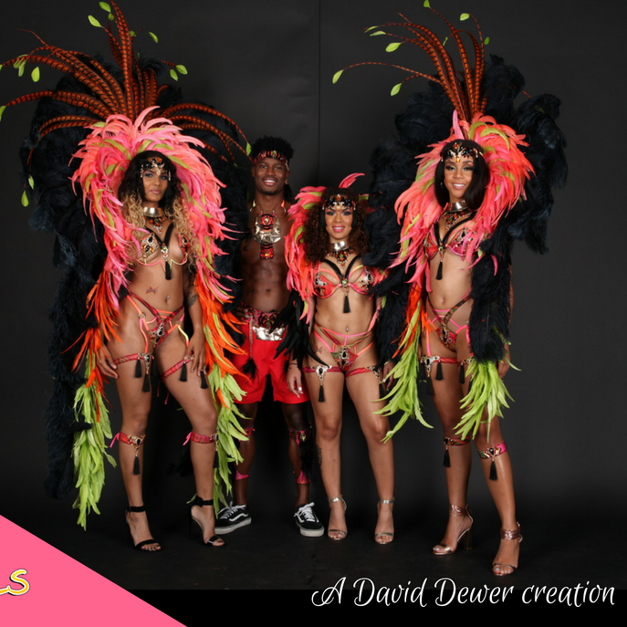 Cock - Tails : Miami Carnival