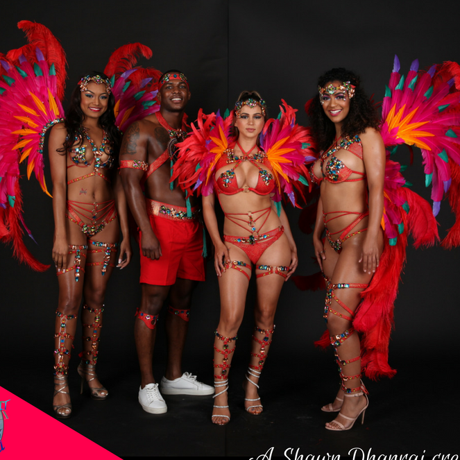 Spirit of Carnival - Miami Carnival