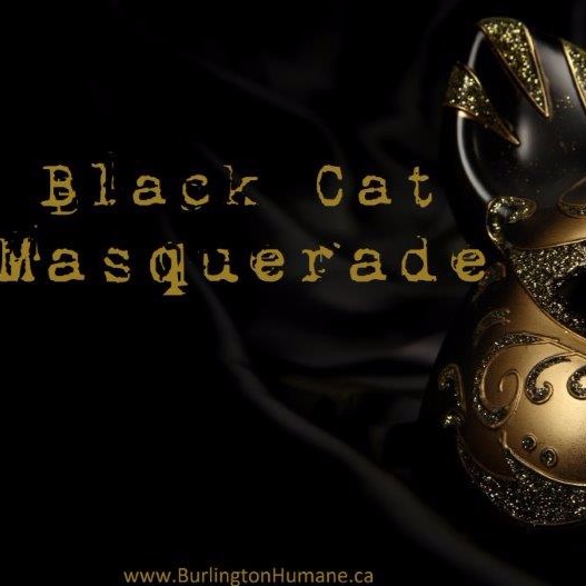 Black Cat Masquerade 