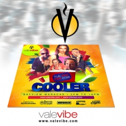 Vale Vibe Cooler