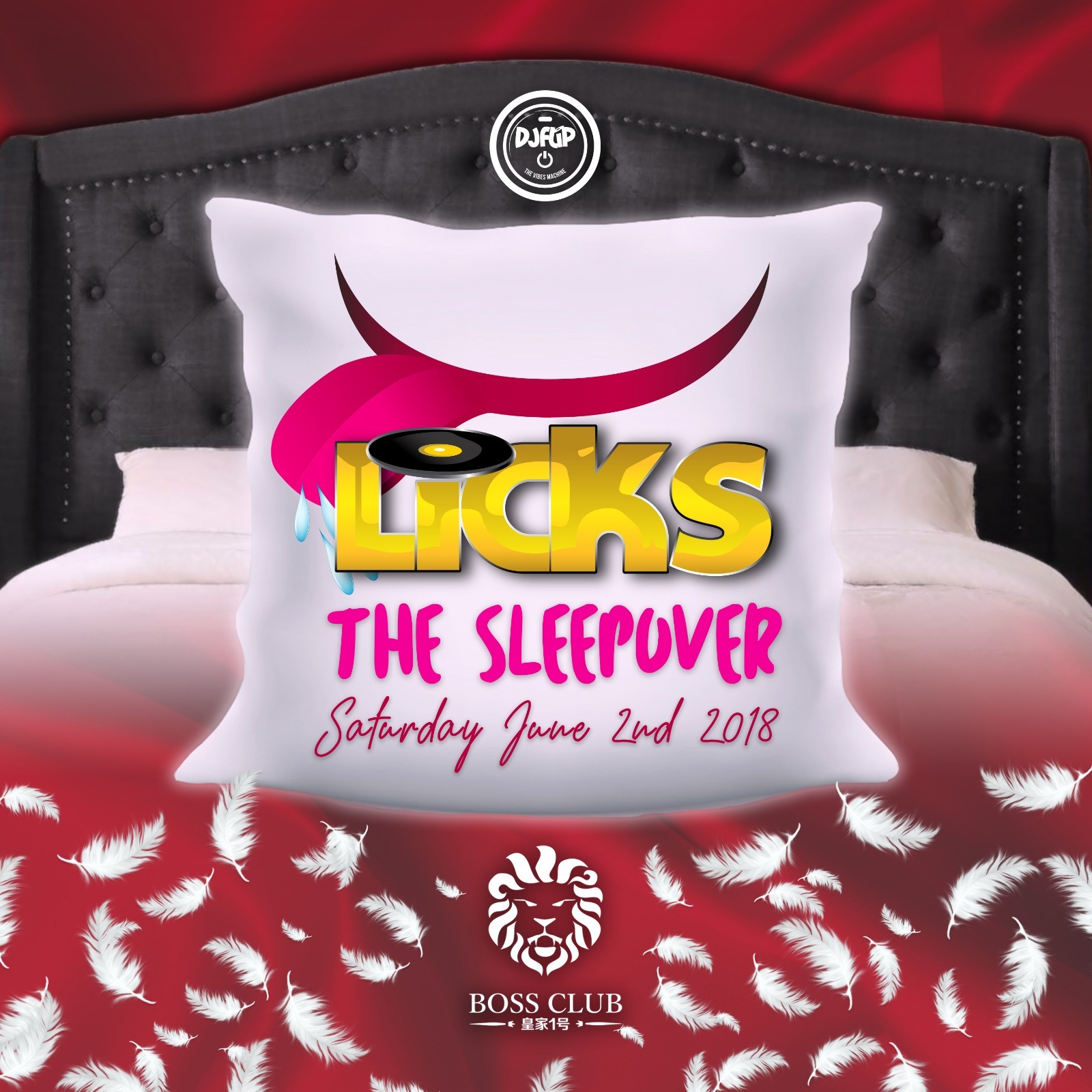 LiCKS FETE 2018 - THE SLEEPOVER