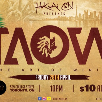 TAOW - THE ART OF WINNING