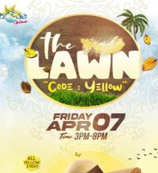THE LAWN 