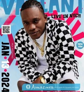 Vailant Live In Nyc 