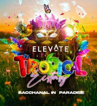 Elevate Tropical Ecstasy **bacchanal In Paradise** 