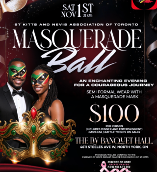 Sknat Masquerade Ball 