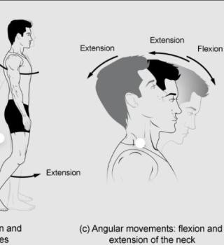 Motion over movement 