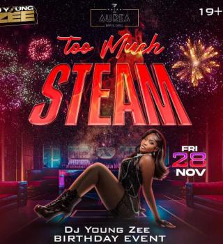 Too Much Steam 