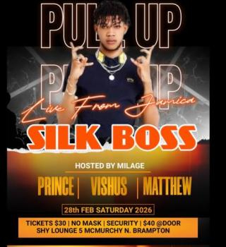 Silk Boss Pull Up 