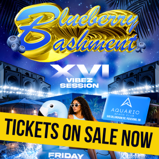 ~ Blueberry Bashment ~ Vibez Session Xvi 