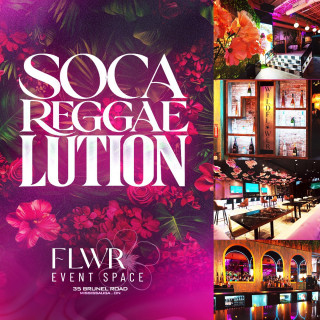 SOCA REGGAELUTION - WILDFLWR 