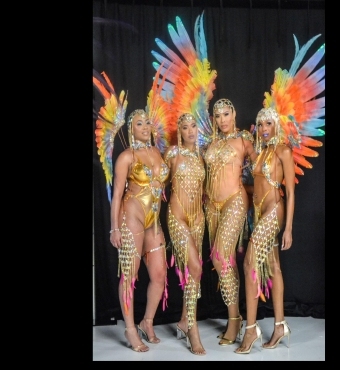 Vivid Sydney- Flight To Paradise - Carnival Nationz 