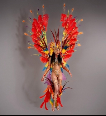 Wings Of Fire - Saldenah Carnival  
