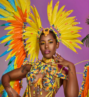 Birds Of Paradise 