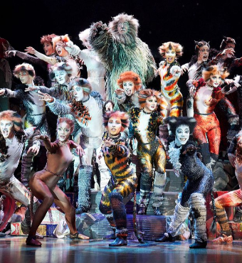 Cats The Musical In Toronto Tickets | 2019 Dec 08