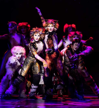 Cats The Musical In Toronto Tickets | 2019 Dec 12