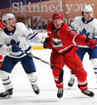 Toronto Marlies vs. Charlotte Checkers Tickets | 2020 Feb 01