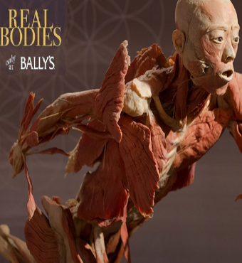 Real Bodies At Bally's Las Vegas 2020 Tickets