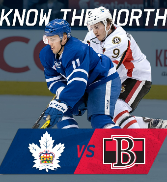 Toronto Marlies vs. Belleville Senators | Match Day 2 | Tickets