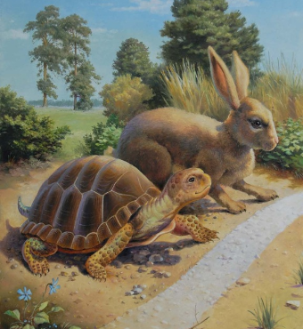 The Tortoise And The Hare | Theater Event | Tickets 