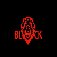 NO FLYERS: An open bar experience by Block Party Toronto